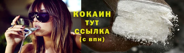 молекула духа Белоозёрский