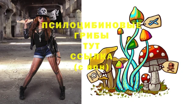 каннабис Белокуриха