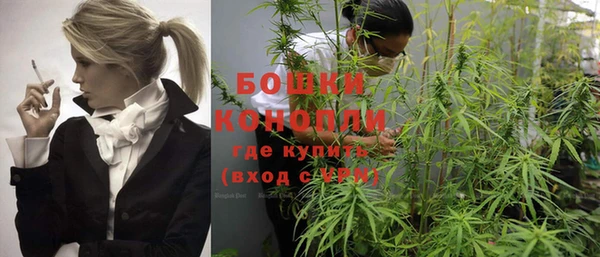 каннабис Белокуриха