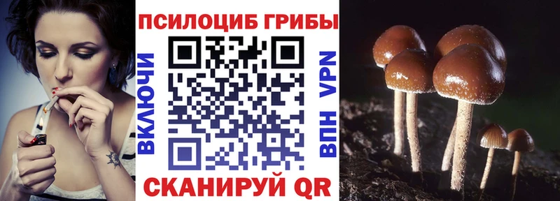 Галлюциногенные грибы мицелий  Куровское 